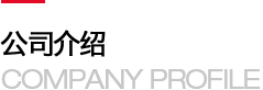 某某科技有限公司